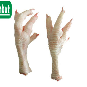 Chân gà đông lạnh - Thiên Bút Food - Công Ty TNHH Sản Xuất Thương Mại Dịch Vụ Thiên Bút